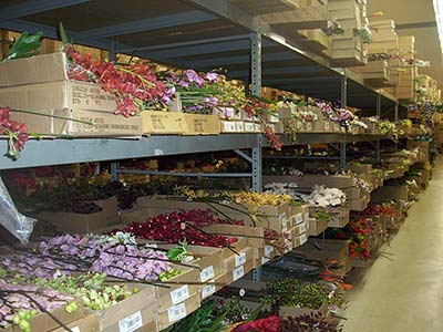 Silk Flower Supplies, Plant City, Lakeland, Valrico, Brandon, FL